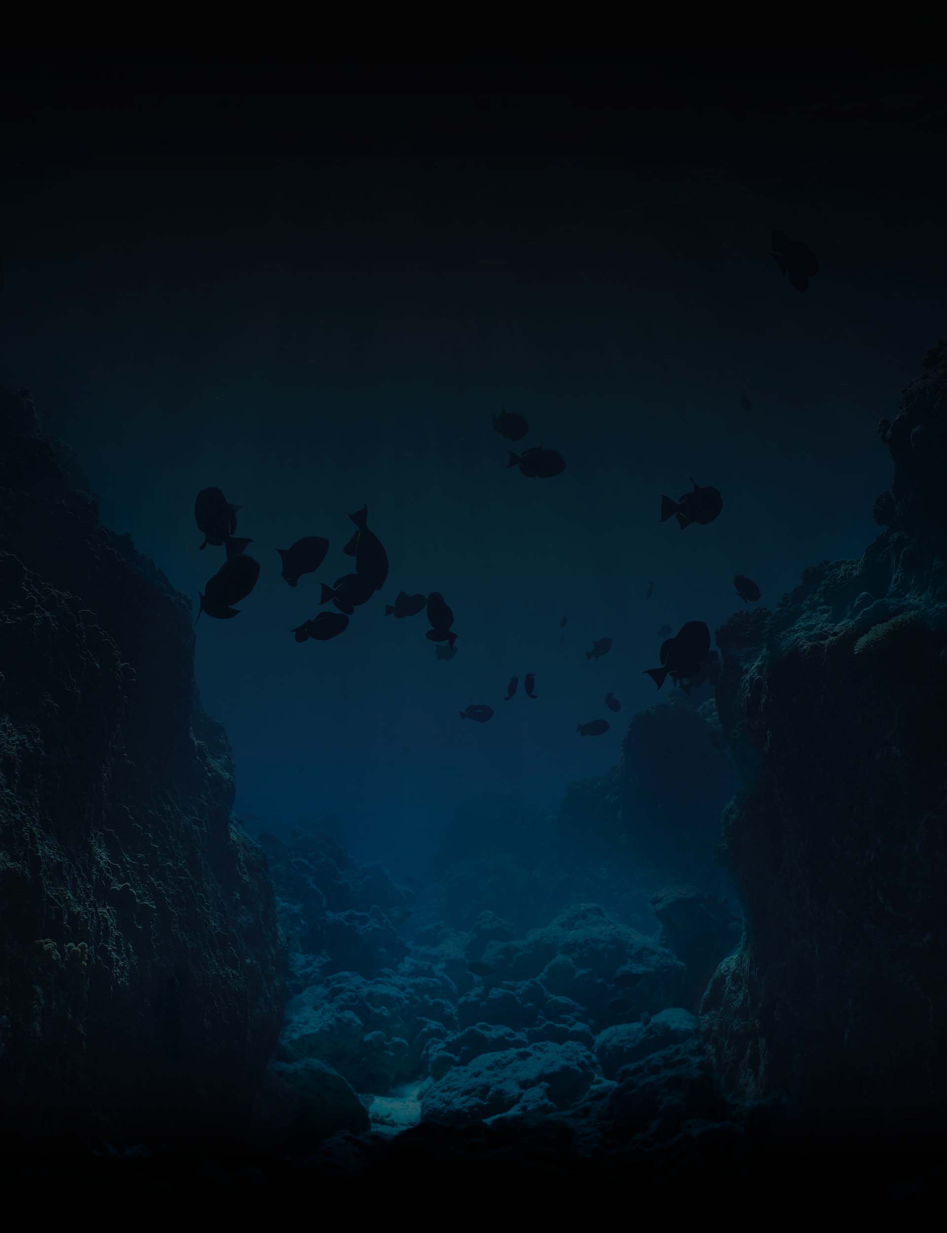 Clear underwater landscape in Gran Canaria