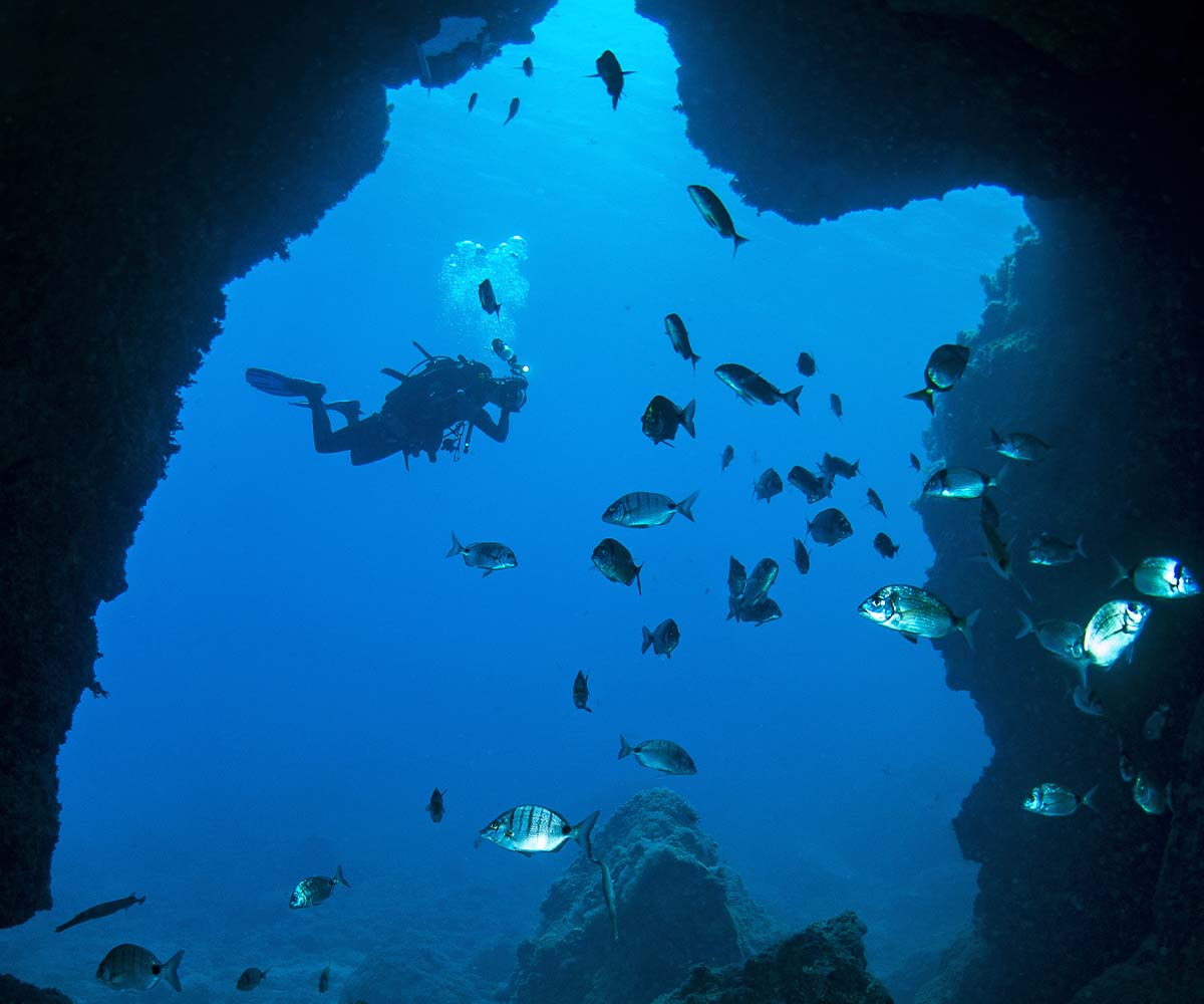 El Cabrón ("The Bastard")