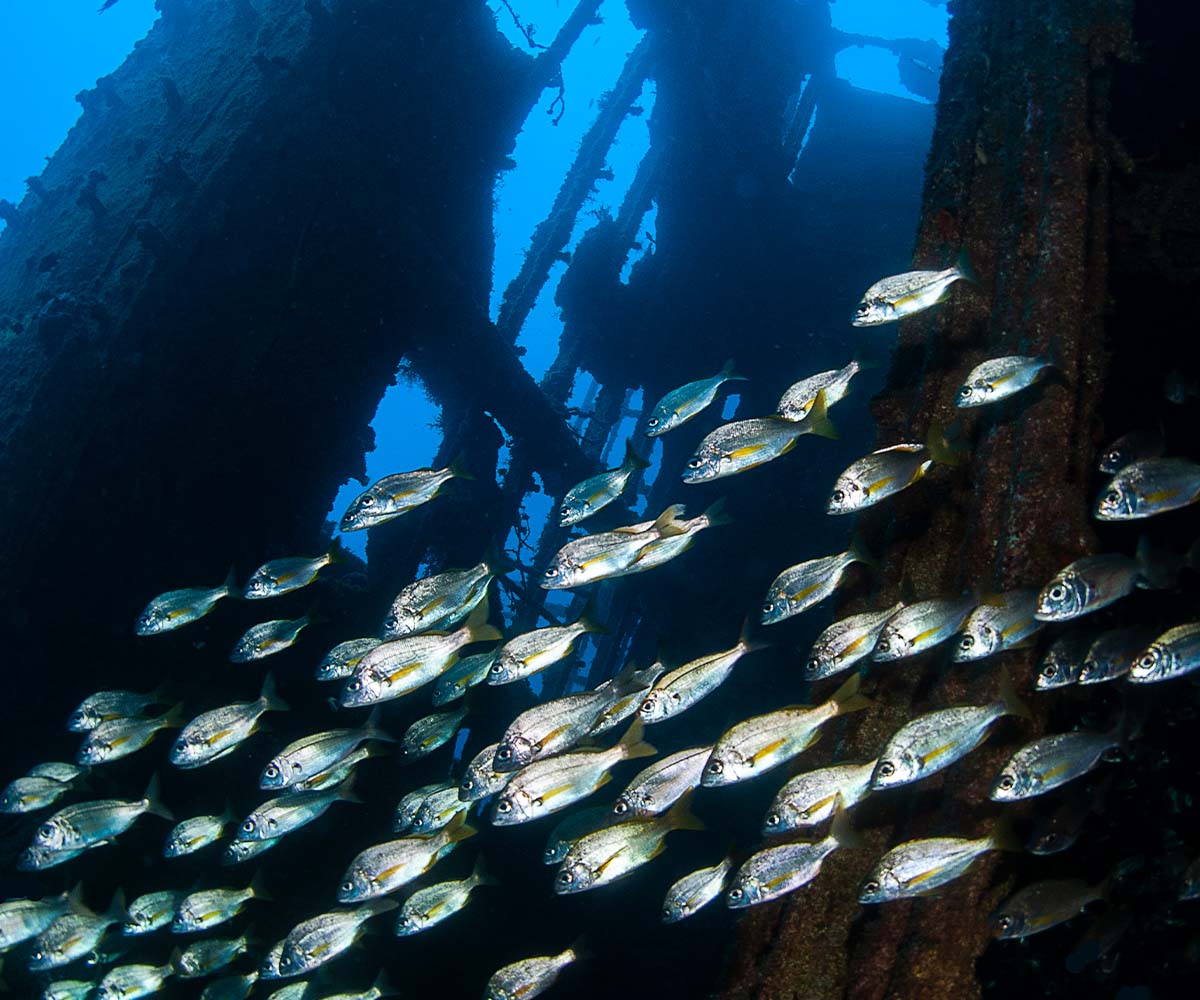 Lost City of Atlantis