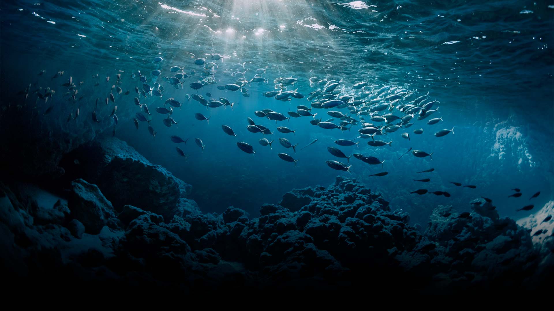 Diving in Gran Canaria