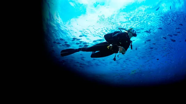 PADI dive course training