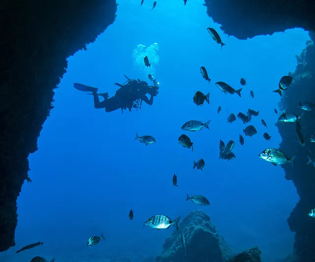 Divers entering the water with Nautico